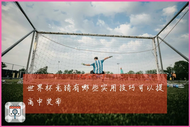 世界杯竞猜有哪些实用技巧可以提高中奖率