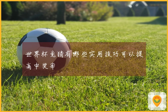 世界杯竞猜有哪些实用技巧可以提高中奖率
