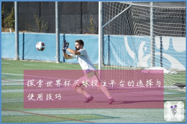 探索世界杯买球投注平台的选择与使用技巧