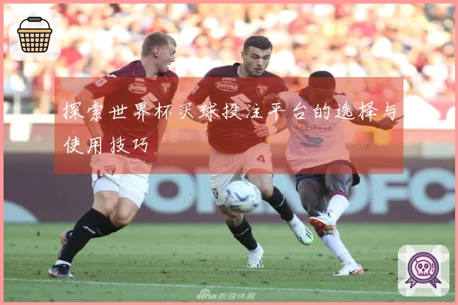探索世界杯买球投注平台的选择与使用技巧